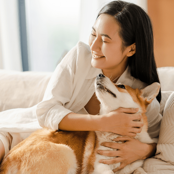 We've Built Our Reputation on Making Your Home Clean.